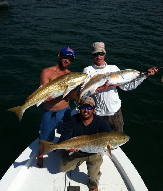 A picture of Redfish Mania