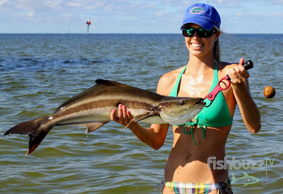 A picture of Inshore vs Nearshore: St. Pete Fishing Charters