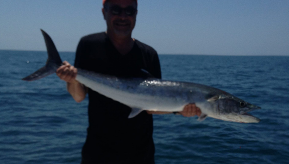 A picture of When To Catch Kingfish In St. Pete