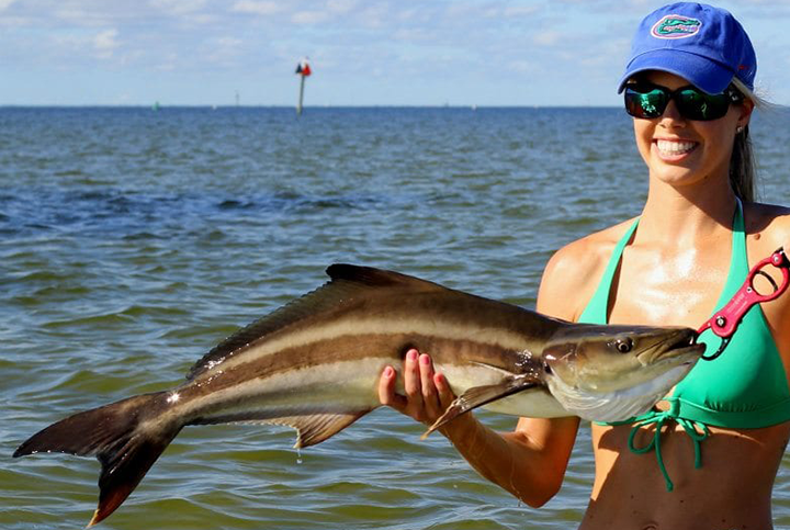A picture of St. Pete Nearshore Fishing Charters