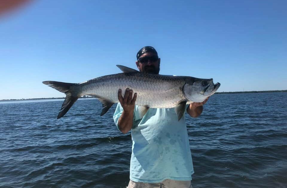A picture of When Are the Best Months to Catch Tarpon off FL’s Gulf Coast?