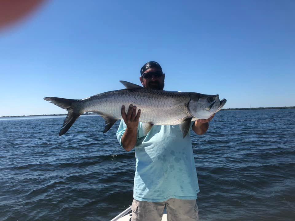 A picture of The Best Tides for Tarpon Fishing in Tampa Bay